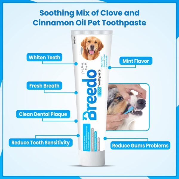 Breedo Cool Mint Oral Care Toothpaste And 3Pcs Toothbrush Combo For Dogs – 100G|Soothing Mix Of Mint And Cinnamon Oil Suitable For Dogs And Puppies|Dog Toothpaste|Dog Mouth Freshner