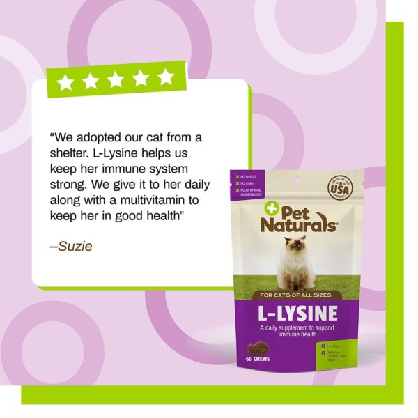 L-Lysine Chews for Cats, Immune and Respiratory Support Supplement, 60 Bite Sized Chews (3.17 oz)