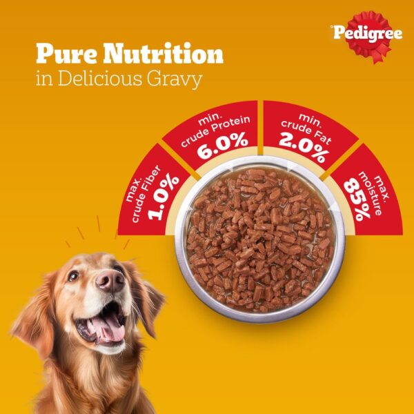 Pedigree Wet Food for Adult Dogs, Chicken & Liver Chunks in Gravy Flavour, Pack of 15 (15 x 70g)