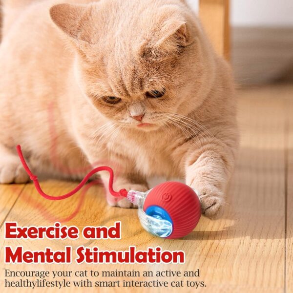 Wallinstik Interactive Cat Toy – Cat Toys for Indoor Cats Smart Silicone Rolling Dancing Ball with Tail,Bird Sound,Obstacle Avoidance and Motion Activated,Kitten Puzzle Toys Adult Cats & Dogs (Red)