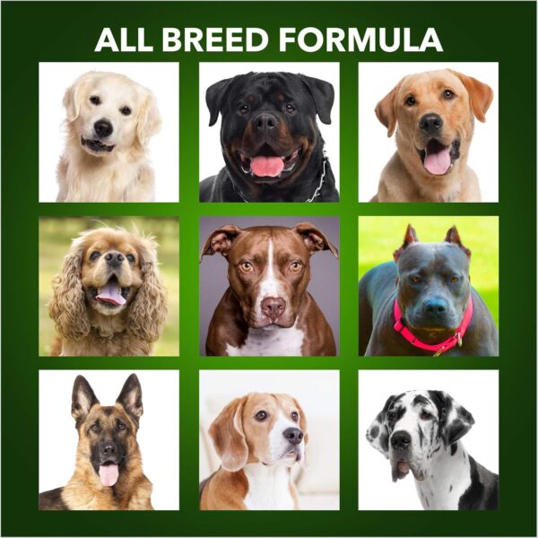 Meat Up 100% Veg Adult Dry Dog Food, 3kg (Buy 1 Get 1 Free)