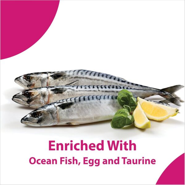 Maxi Persian Adult(+1 year) Dry Cat Food, Ocean Fish, 3kg (BUY 1 GET 1 FREE)