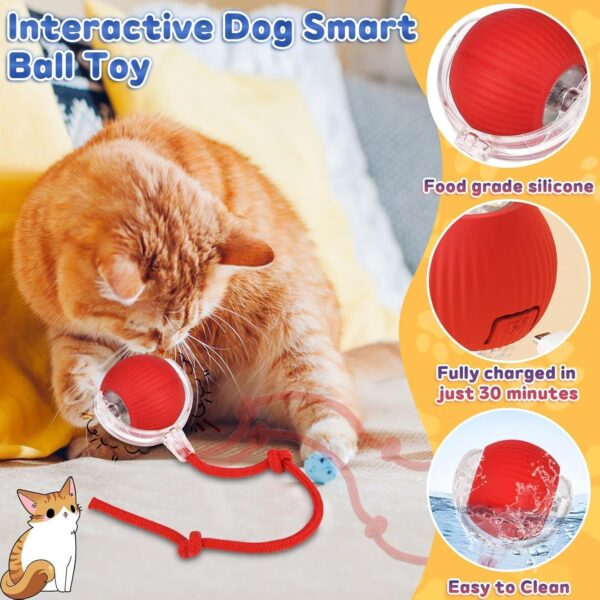 Wallinstik Interactive Cat Toy – Cat Toys for Indoor Cats Smart Silicone Rolling Dancing Ball with Tail,Bird Sound,Obstacle Avoidance and Motion Activated,Kitten Puzzle Toys Adult Cats & Dogs (Red)