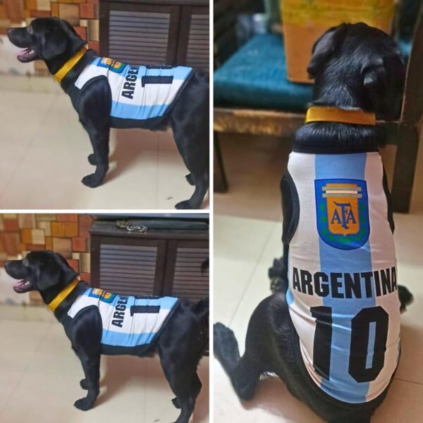 Lulala Pet Shirts Argentina Printed Clothes with Summer Pet T Shirts Cool Puppy Shirts Breathable Pet Outfit Soft Pet Sweatshirt for Pet Pets Cats (Blue-White, 26 INCH)