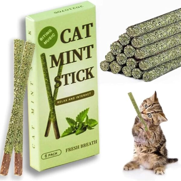 emily pets Cat Chew Sticks Cat Catnip Sticks Natural Catnip Toys Cat Teeth Nip for Cat Teeth Cleaning Playful Entertainment for Kittens and Cats Chew Mint Stick Toy.