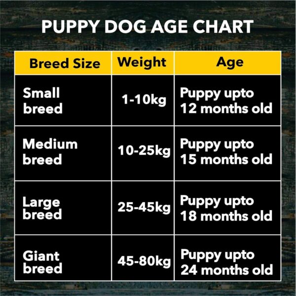 Meat Up Puppy Dry Dog Food, Chicken Flavour, 10 KG (Buy 1 Get 1 Free)