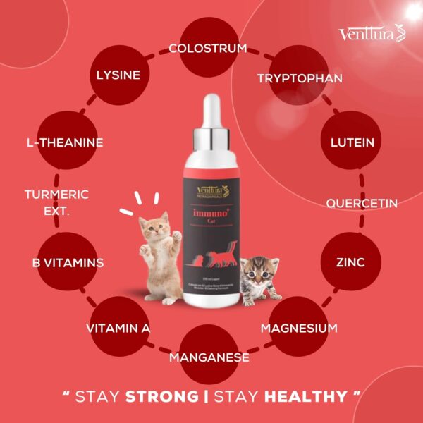 Venttura immuno+ Cat Immunity Booster & Calming Supplement for Cats | Supplement for Better Health & Strength | immuno+ Cat (100 ml Suspension)