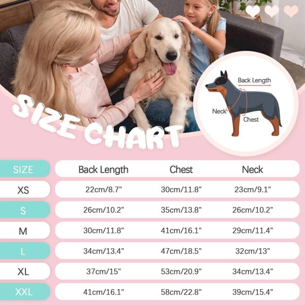 KUTKUT Kitten Puppy Blue Striped Recovery Suit, Surgery Suit for Female Dogs After Spay, Dog Cats Surgical Onesie with Pee Hole Collar Cone Alternative for Abdominal Wounds (Size: S, Chest: 35cm)