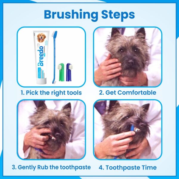 Breedo Cool Mint Oral Care Toothpaste And 3Pcs Toothbrush Combo For Dogs – 100G|Soothing Mix Of Mint And Cinnamon Oil Suitable For Dogs And Puppies|Dog Toothpaste|Dog Mouth Freshner