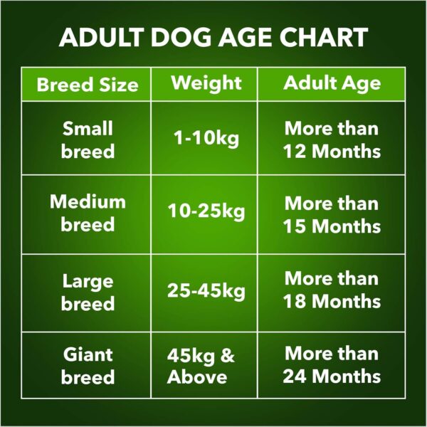 Meat Up 100% Veg Adult Dry Dog Food, 3kg (Buy 1 Get 1 Free)