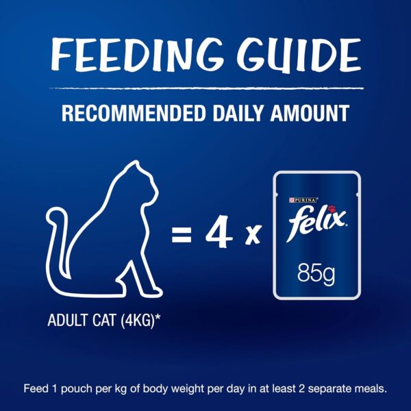 Purina Felix with Chicken in Jelly | Wet Food for Adults | Complete and Balanced Kitten Food, Pack of 12 Pouches (12 x 85 g)