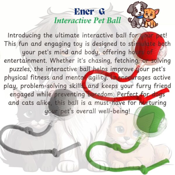 Flexi Madhav Interactive Electric Automatic Rolling Moving Rechargeable Self Play Stimulation Toy,Smart Pet Chase Ball with Speedy Tail Rope for Bored Indoor Cats Enrichment (Cat Ball)