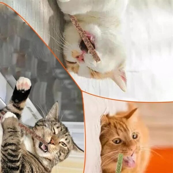 emily pets Cat Chew Sticks Cat Catnip Sticks Natural Catnip Toys Cat Teeth Nip for Cat Teeth Cleaning Playful Entertainment for Kittens and Cats Chew Mint Stick Toy.