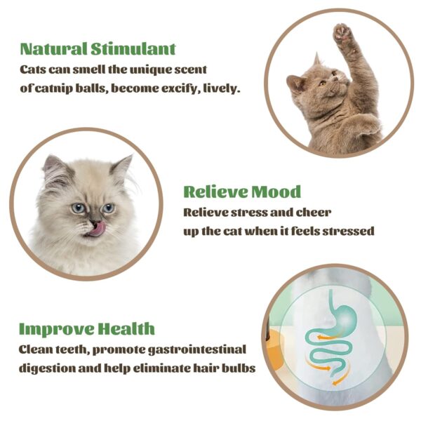 Sichumaria Catnip Wall Toys, Balls for Teeth Cleaning and Biting, Edible Licking Chew Toy, Rotatable Indoor Cat Toy (Green)