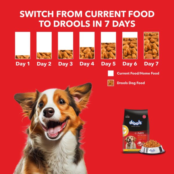 Drools Puppy Dry Dog Food Chicken and Egg, 3kg with Free 1.2kg, Total 4.2 kg Pack