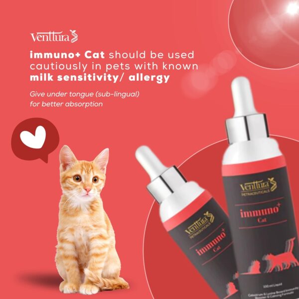 Venttura immuno+ Cat Immunity Booster & Calming Supplement for Cats | Supplement for Better Health & Strength | immuno+ Cat (100 ml Suspension)