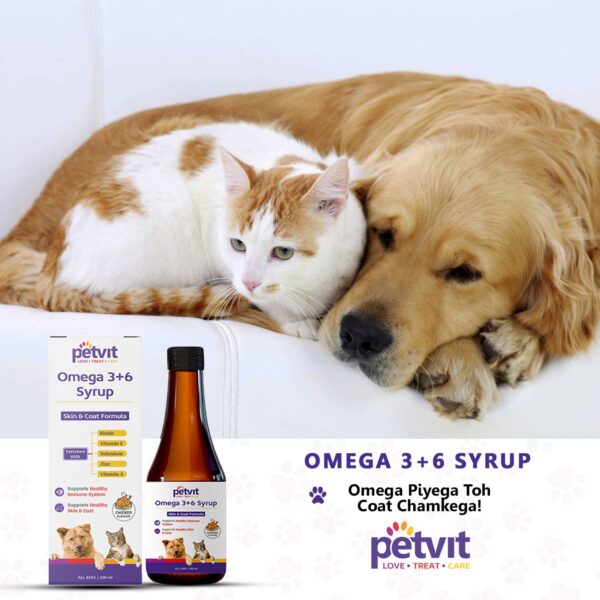 Petvit Omega Rich Skin & Coat Sardine Oil | Sardine Fish Flavour  200ml & Omega 3 + 6 Syrup with Omega 3, 6, Vitamin A, Biotin | Chicken Flavour | for All Ages Breed Dogs & Cats  Combo (Pack of 1)