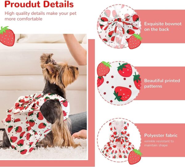 KUTKUT Dog Harness Dress for Small Dogs Puppy Kitten Harness and Leash Set with Cute Bowknot Straberries Pattern Princess Dress for Chiuhuahua, Yorkshire, Toypom Cats etc (Size:S, Chest: 35cm)