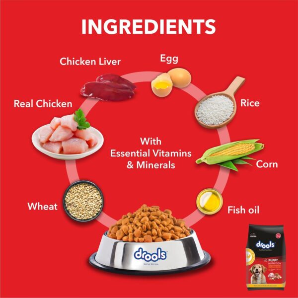 Drools Puppy Dry Dog Food Chicken and Egg, 3kg with Free 1.2kg, Total 4.2 kg Pack