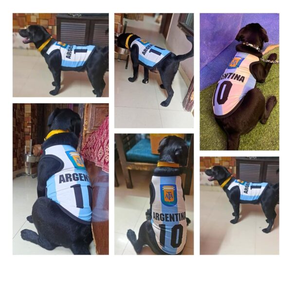 Lulala Pet Shirts Argentina Printed Clothes with Summer Pet T Shirts Cool Puppy Shirts Breathable Pet Outfit Soft Pet Sweatshirt for Pet Pets Cats (Blue-White, 26 INCH)