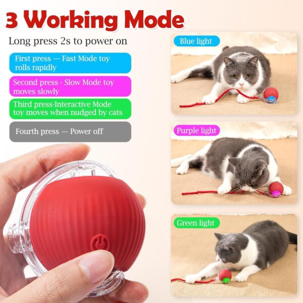 Flexi Madhav Interactive Cat Toy – Cat Toys for Indoor Cats Smart Silicone Rolling Ball with Tail,Bird Sound,Obstacle Avoidance and Motion Activated,Kitten Puzzle Toys (Red)