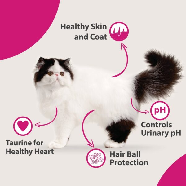 Maxi Persian Adult(+1 year) Dry Cat Food, Ocean Fish, 3kg (BUY 1 GET 1 FREE)