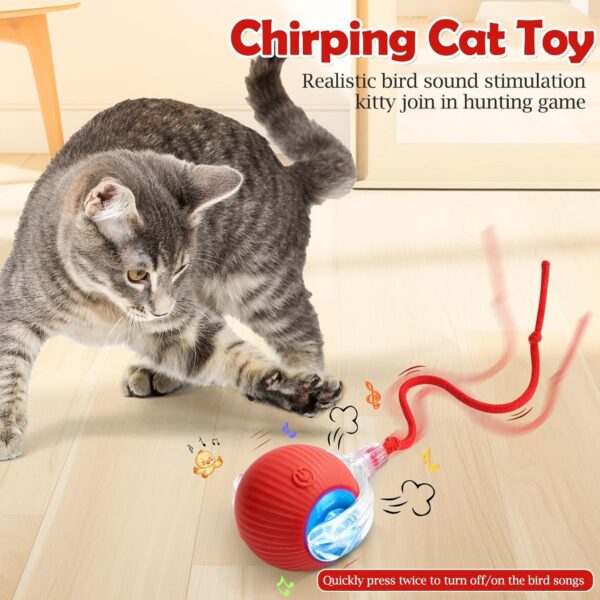 Wallinstik Interactive Cat Toy – Cat Toys for Indoor Cats Smart Silicone Rolling Dancing Ball with Tail,Bird Sound,Obstacle Avoidance and Motion Activated,Kitten Puzzle Toys Adult Cats & Dogs (Red)