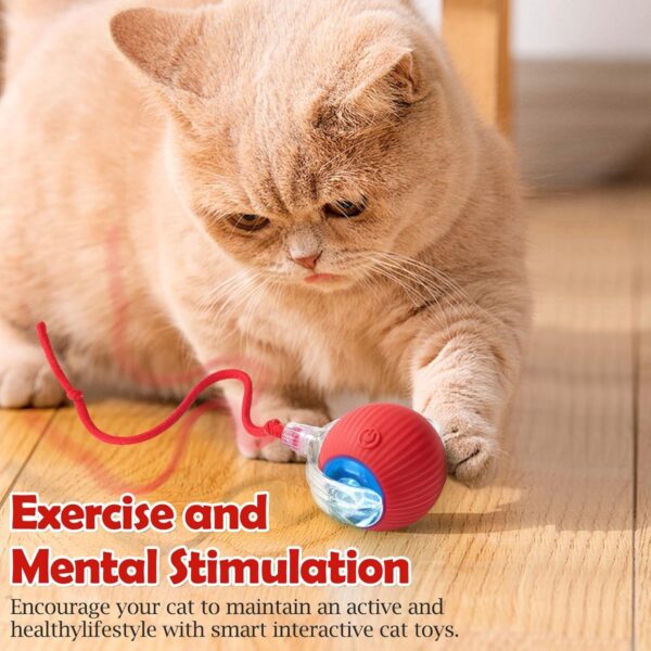 Flexi Madhav Interactive Cat Toy – Cat Toys for Indoor Cats Smart Silicone Rolling Ball with Tail,Bird Sound,Obstacle Avoidance and Motion Activated,Kitten Puzzle Toys (Red)