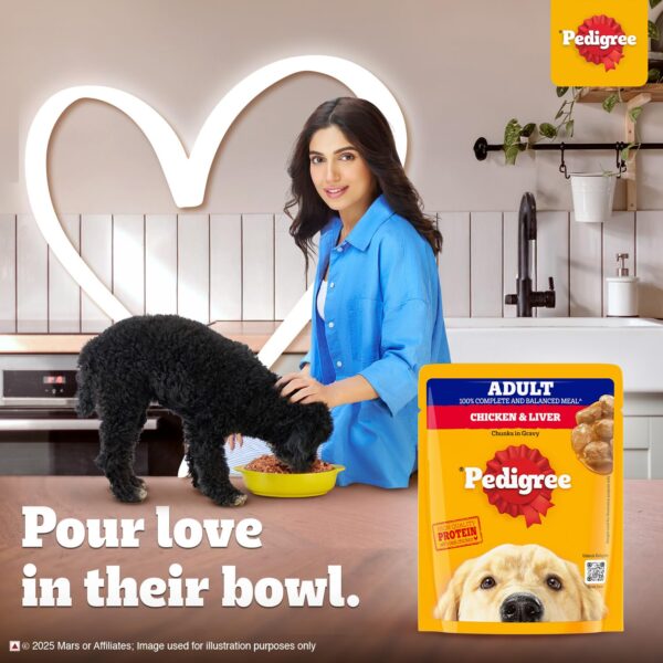 Pedigree Wet Food for Adult Dogs, Chicken & Liver Chunks in Gravy Flavour, Pack of 15 (15 x 70g)