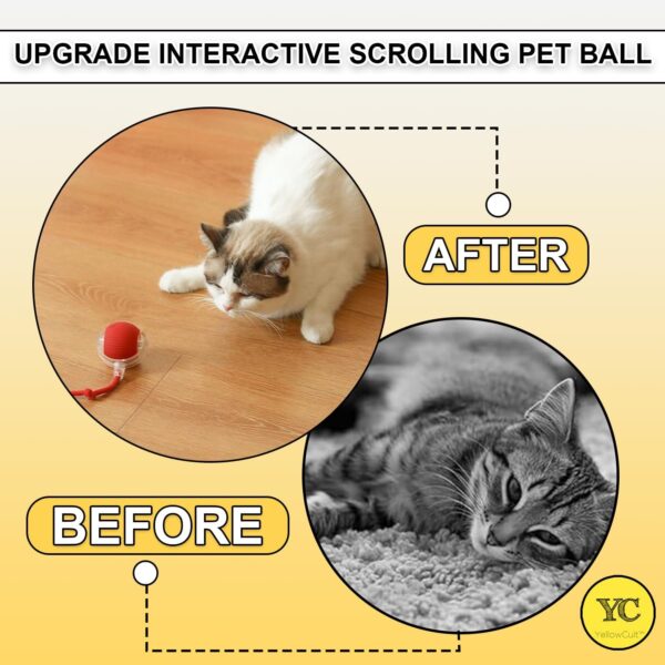 GOAWAY Automatic Rolling Cat Ball Toy, 2-Speed Modes, Teasing Tail & Bell Charm, Interactive Self Play Chasing Silicone Ball Toy for Indoor Cats