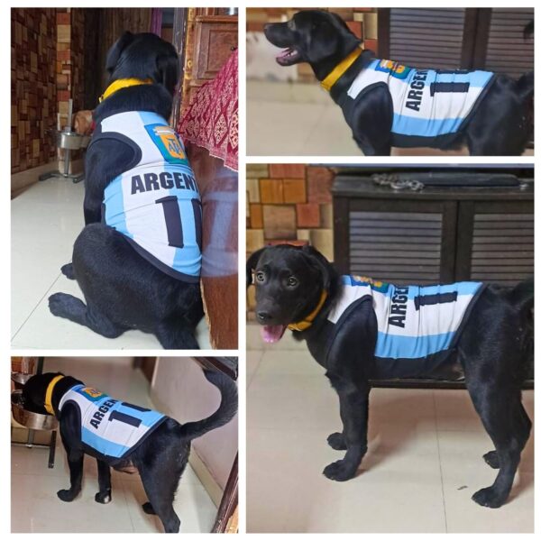 Lulala Pet Shirts Argentina Printed Clothes with Summer Pet T Shirts Cool Puppy Shirts Breathable Pet Outfit Soft Pet Sweatshirt for Pet Pets Cats (Blue-White, 26 INCH)