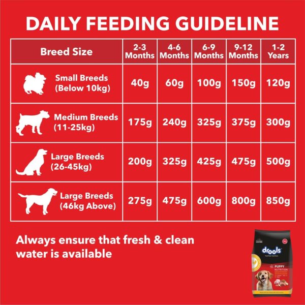 Drools Puppy Dry Dog Food Chicken and Egg, 3kg with Free 1.2kg, Total 4.2 kg Pack