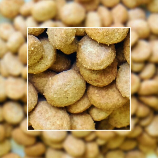Meat Up Puppy Dry Dog Food, Chicken Flavour, 10 KG (Buy 1 Get 1 Free)