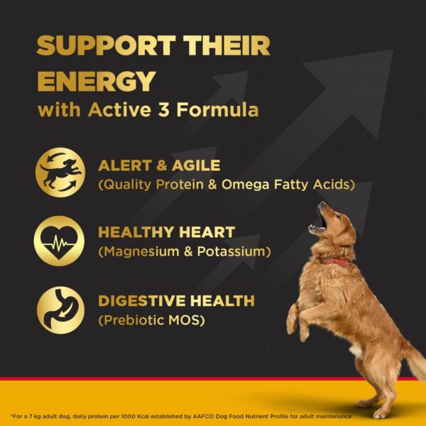 Pedigree PRO Adult Dry Dog Food for Large Breed Active Dog, 3kg Pack