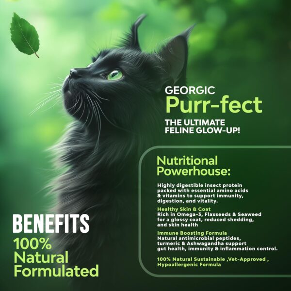 Georgic Everyday Cat Supplement Topper | Omega 3 & 6, Amino Acids | Immunity Booster| Improves Skin & Coat, Joint Support, Heart & Gut Health | Human Grade Ingredients | All Life Stages |150g