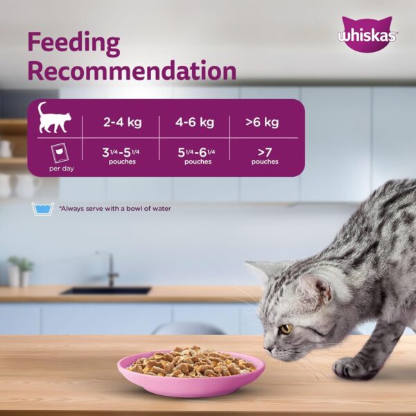 Whiskas Wet Food for Adult Cats (1+Years), Salmon in Gravy Flavour, 14 Pouches (14 x 80g)