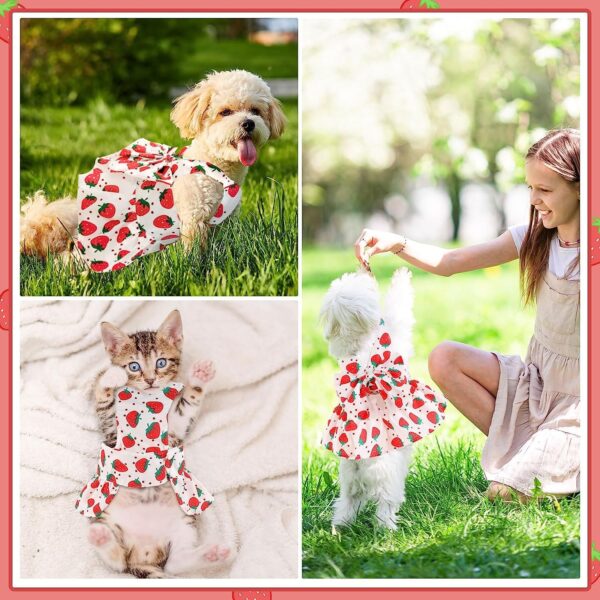 KUTKUT Dog Harness Dress for Small Dogs Puppy Kitten Harness and Leash Set with Cute Bowknot Straberries Pattern Princess Dress for Chiuhuahua, Yorkshire, Toypom Cats etc (Size:S, Chest: 35cm)