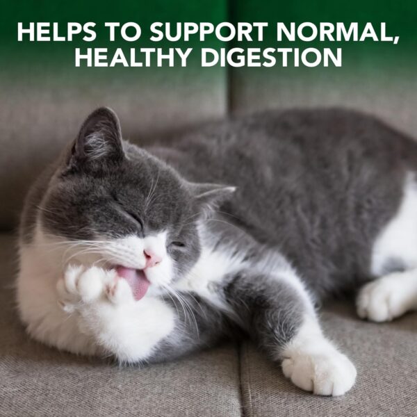 Vet’s Best Hairball Relief Digestive Aid, 60 Chewable Tablets