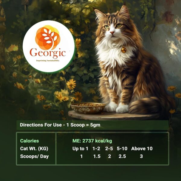 Georgic Everyday Cat Supplement Topper | Omega 3 & 6, Amino Acids | Immunity Booster| Improves Skin & Coat, Joint Support, Heart & Gut Health | Human Grade Ingredients | All Life Stages |150g