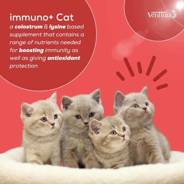 Venttura immuno+ Cat Immunity Booster & Calming Supplement for Cats | Supplement for Better Health & Strength | immuno+ Cat (100 ml Suspension)
