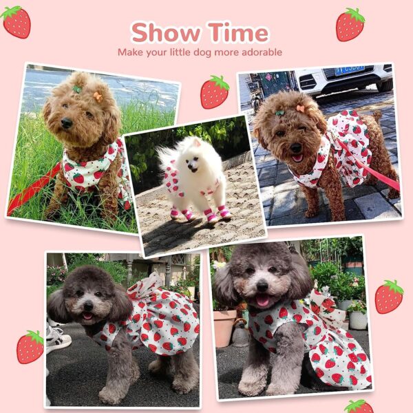 KUTKUT Dog Harness Dress for Small Dogs Puppy Kitten Harness and Leash Set with Cute Bowknot Straberries Pattern Princess Dress for Chiuhuahua, Yorkshire, Toypom Cats etc (Size:S, Chest: 35cm)
