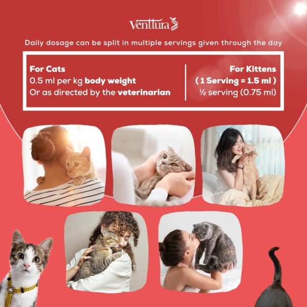 Venttura immuno+ Cat Immunity Booster & Calming Supplement for Cats | Supplement for Better Health & Strength | immuno+ Cat (100 ml Suspension)