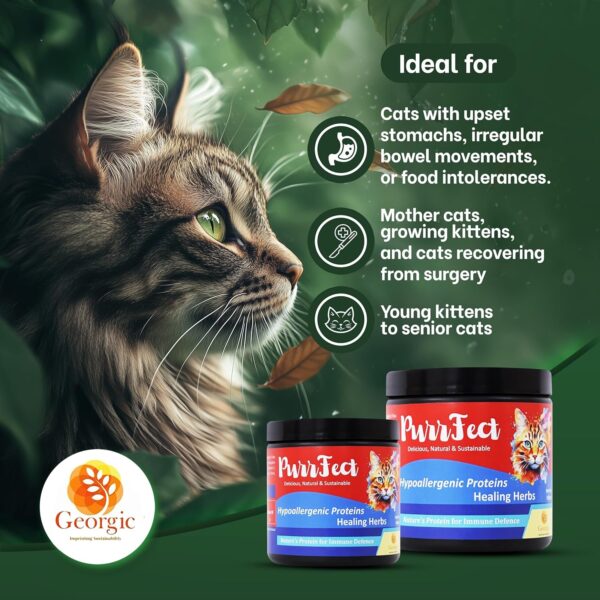 Georgic Everyday Cat Supplement Topper | Omega 3 & 6, Amino Acids | Immunity Booster| Improves Skin & Coat, Joint Support, Heart & Gut Health | Human Grade Ingredients | All Life Stages |150g