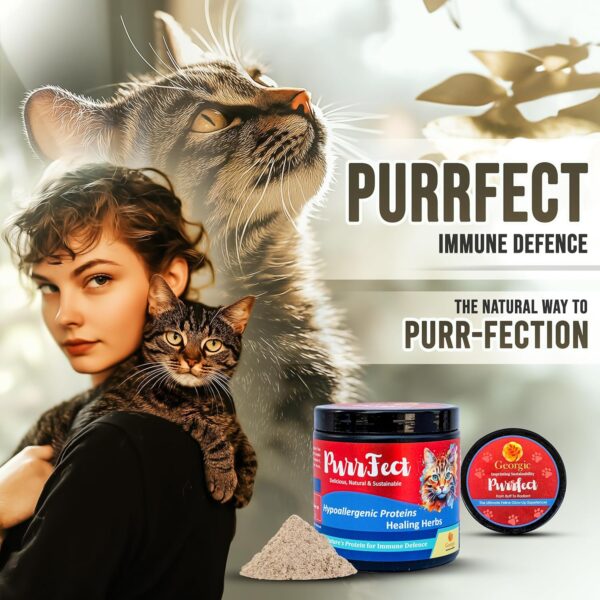 Georgic Everyday Cat Supplement Topper | Omega 3 & 6, Amino Acids | Immunity Booster| Improves Skin & Coat, Joint Support, Heart & Gut Health | Human Grade Ingredients | All Life Stages |150g