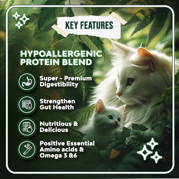 Georgic Everyday Cat Supplement Topper | Omega 3 & 6, Amino Acids | Immunity Booster| Improves Skin & Coat, Joint Support, Heart & Gut Health | Human Grade Ingredients | All Life Stages |150g