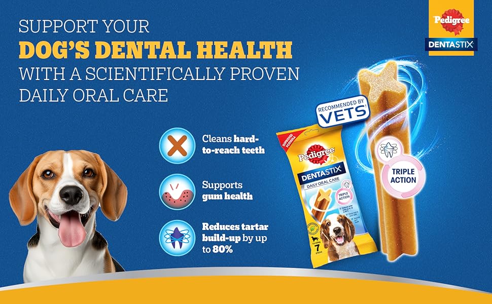 Pedigree Dentastix 1