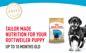 royal canin rottweiler junior pellet dog food variety flavor 3 kg 1