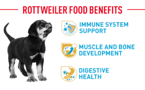 royal canin rottweiler junior pellet dog food variety flavor 3 kg 2