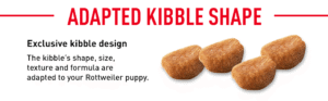 royal canin rottweiler junior pellet dog food variety flavor 3 kg 3