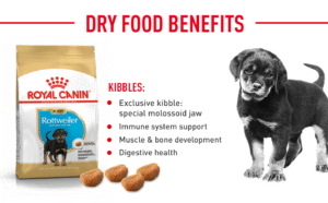 royal canin rottweiler junior pellet dog food variety flavor 3 kg 4
